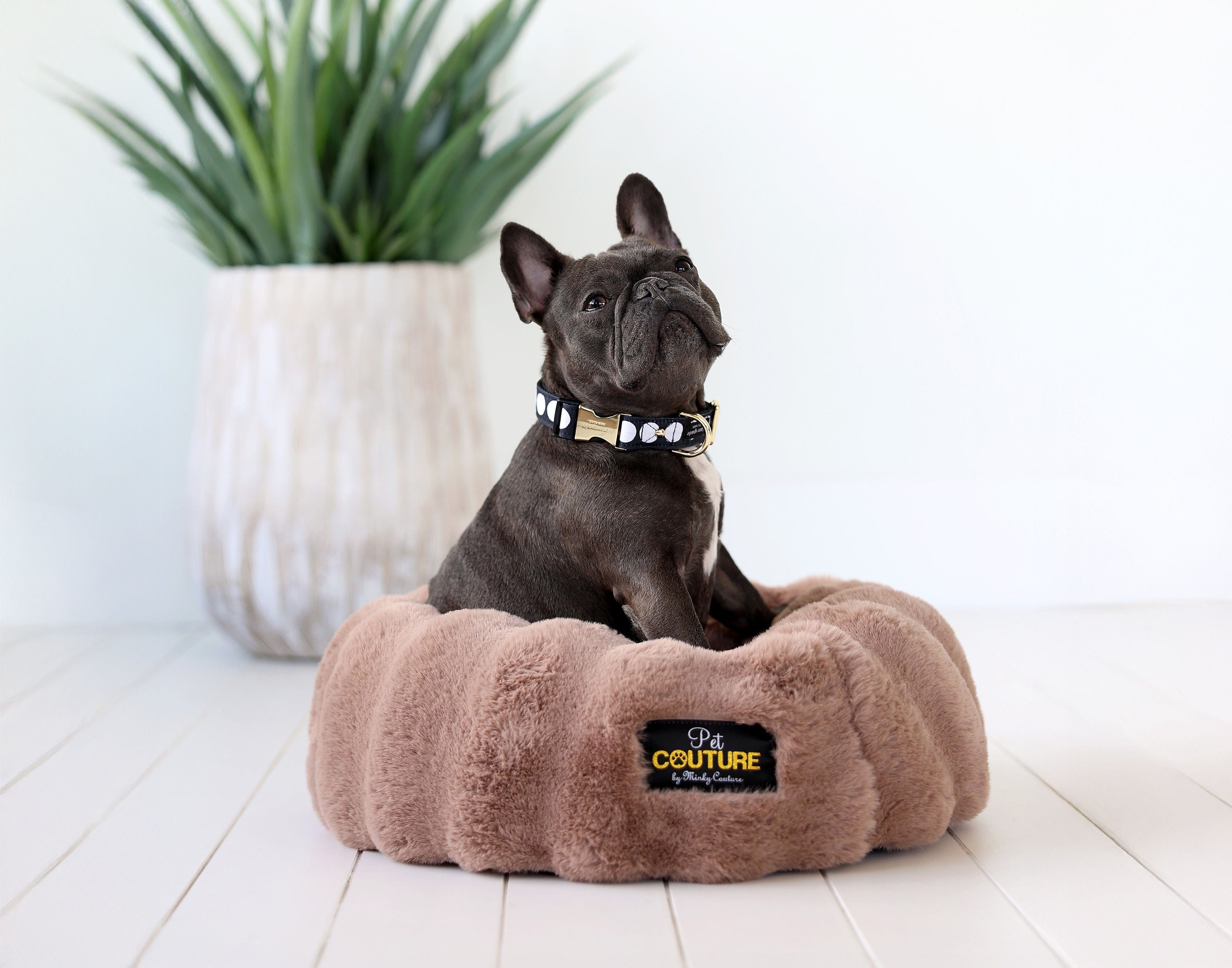 Milk Chocolate Pet Bed