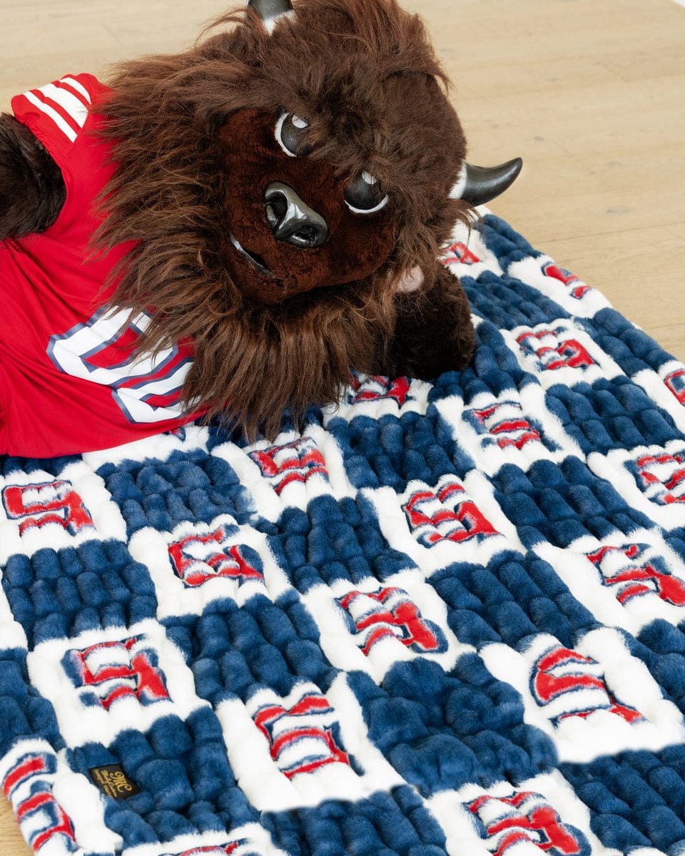 Utah Tech Trailblazers Blanket - Hugs